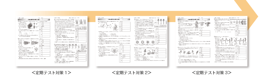 定期テスト対策のプリント内容